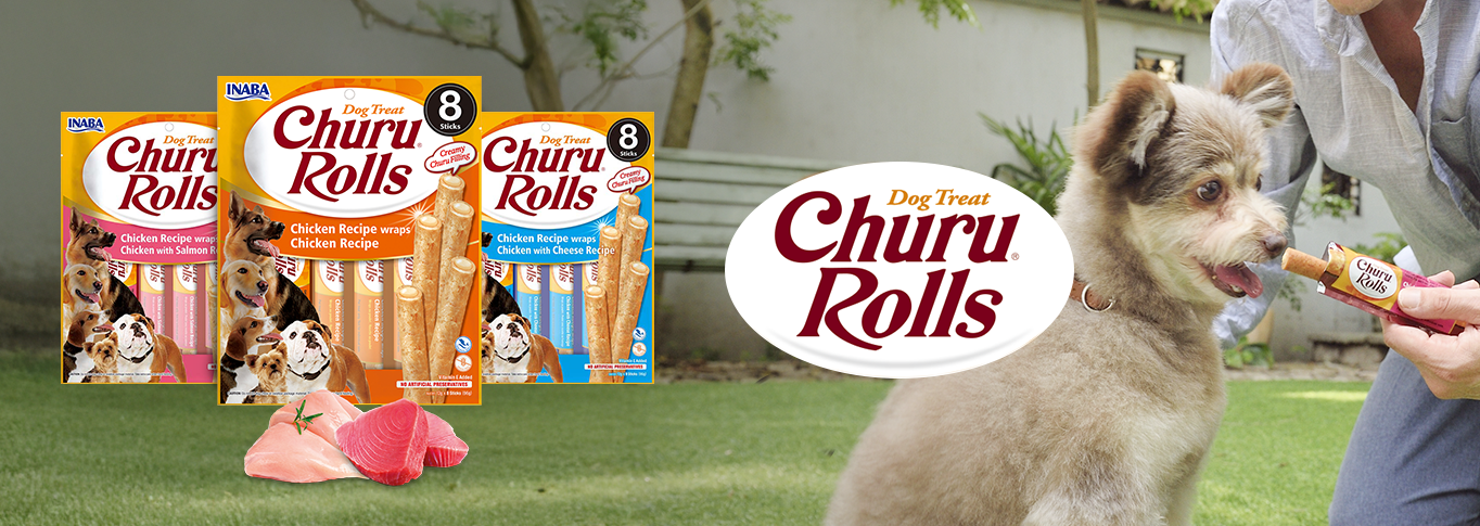 Serviervorschlag Dashi Delights