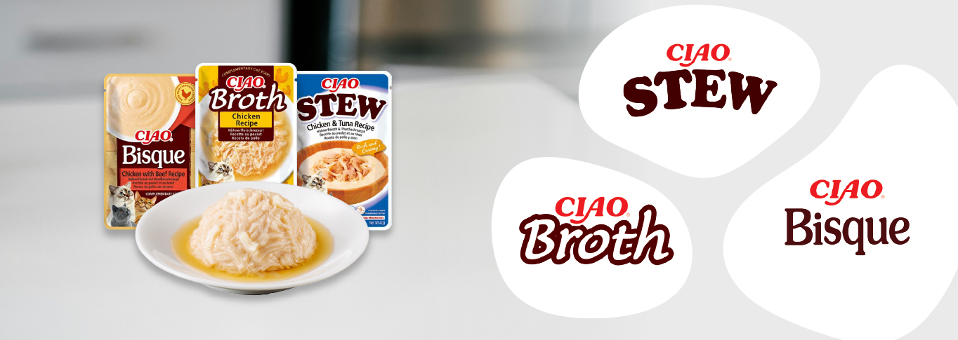 Serviervorschlag CIAO Bsique, Broth, Stew