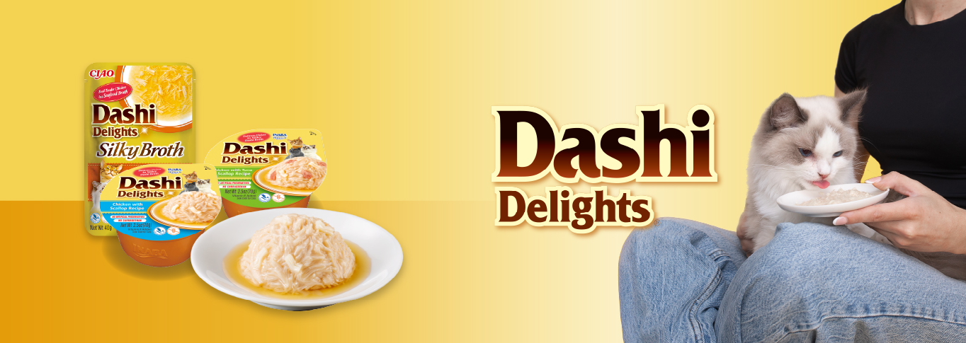 Serviervorschlag Dashi Delights